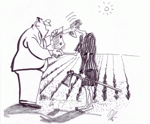 vignetta9.gif