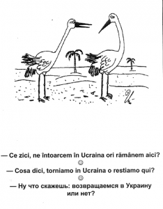 rientrivolontari23mar2009.png