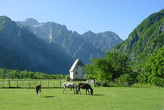 natura-albania.gif