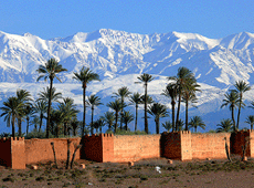 marocco-pic.gif